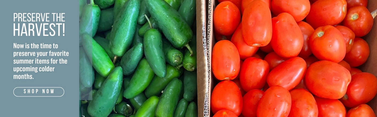 Banner of subcategory: Preserve the Harvest