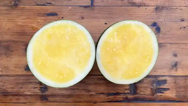Melon: Yellow Buttercup