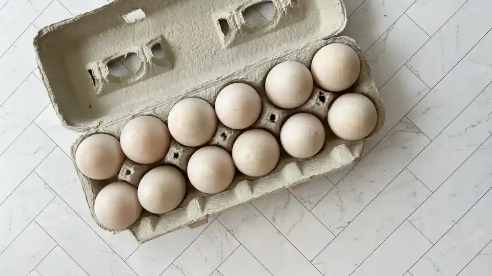 Eggs: Duck