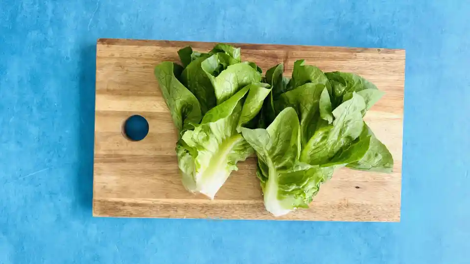 Lettuce: Baby Romaine (heads)