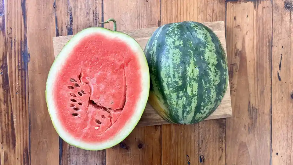 Melon: Mini Love Watermelon