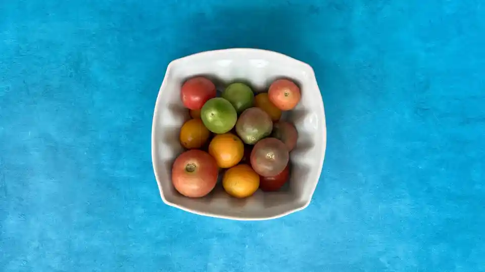 Tomatoes: Rainbow Cherry