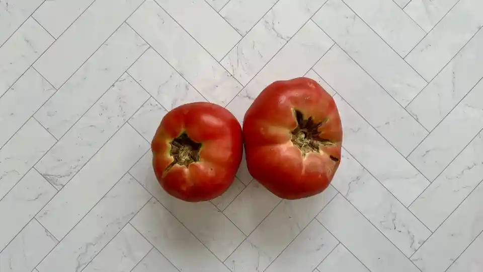 Tomatoes: Heirloom Mix