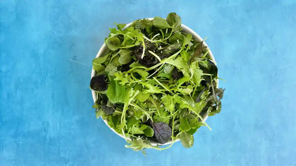 Baby Asian Greens Mix