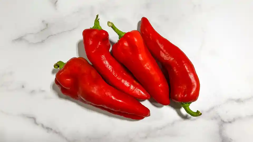 Peppers: Carmen