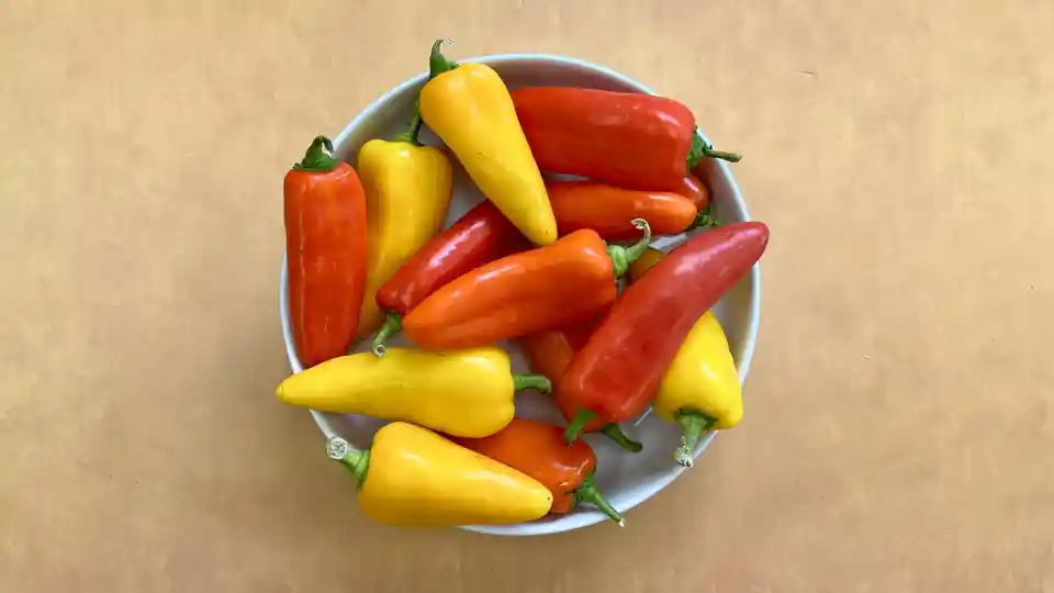 Peppers: Mini Sweet