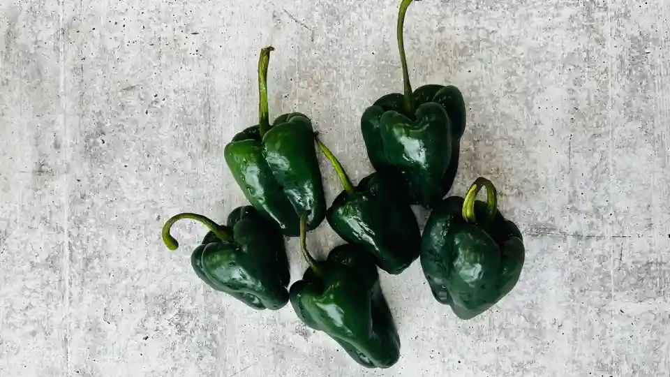 Peppers: Poblano