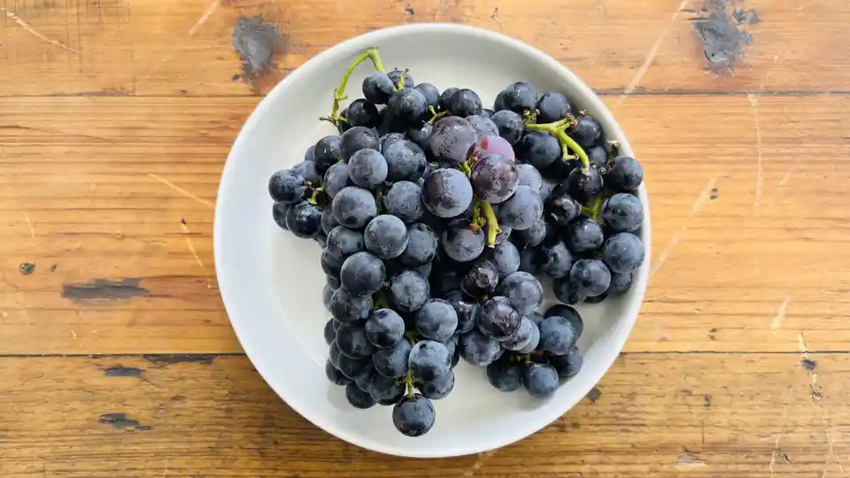 Grapes: Concord