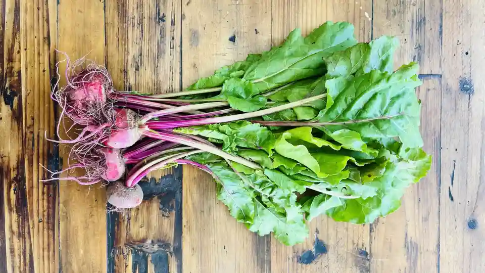 Beets: Chioggia