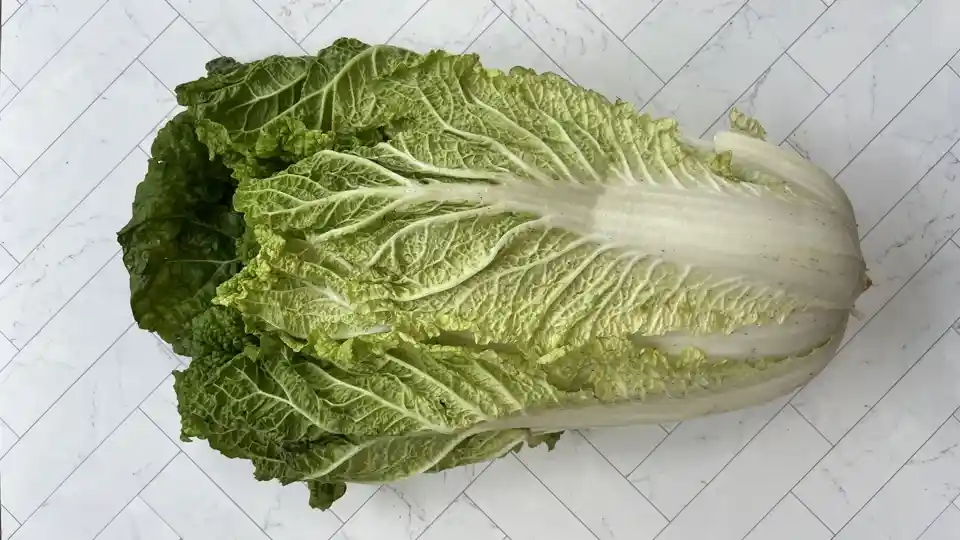 Cabbage: Napa