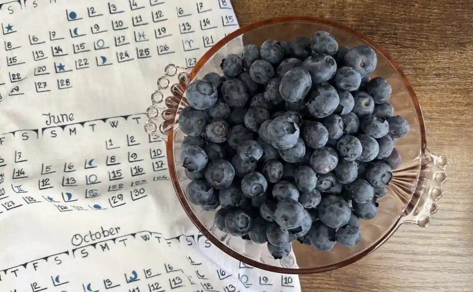 Blueberries