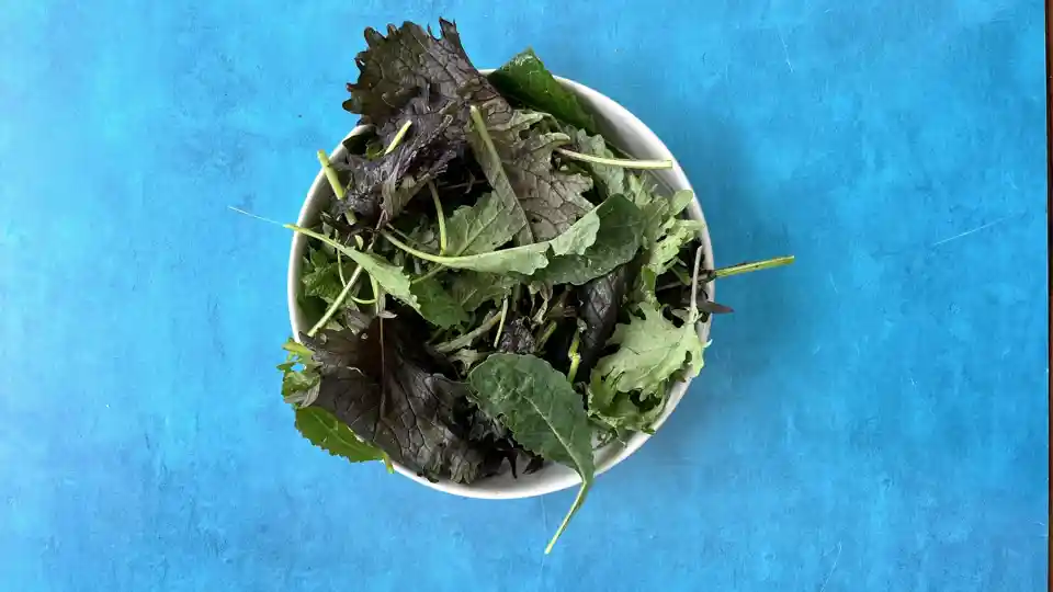 Baby Kale