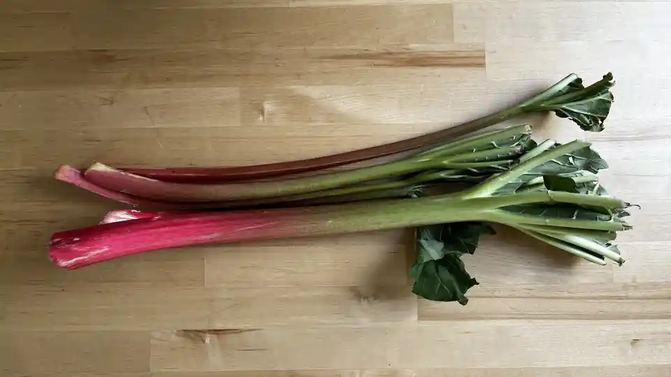 Rhubarb