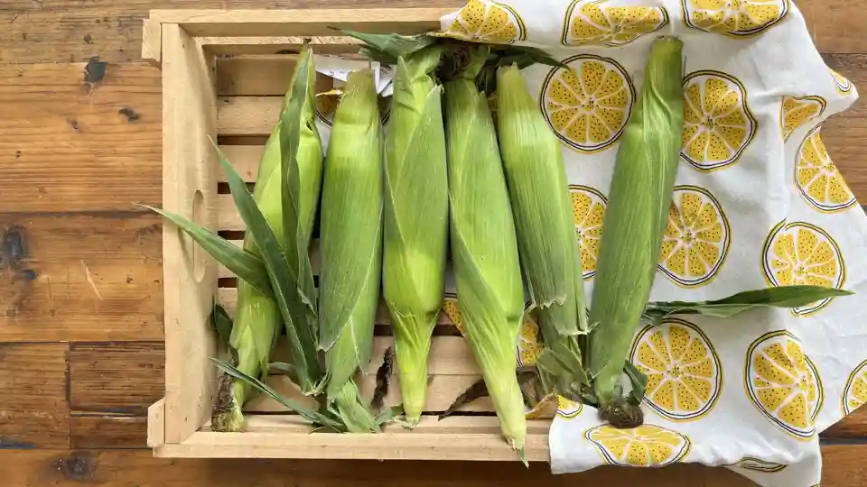 Sweet Corn