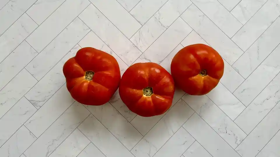Tomatoes: Slicer