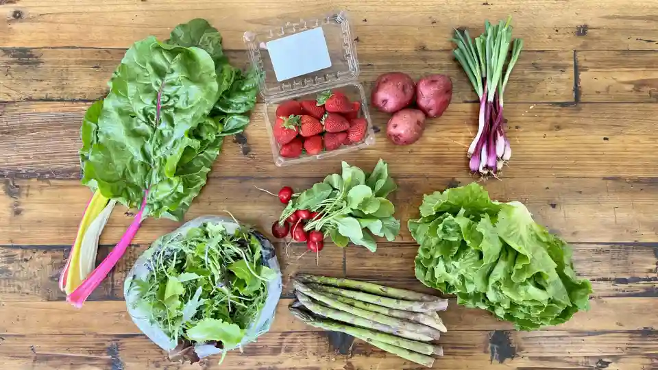 Mini Harvest Share