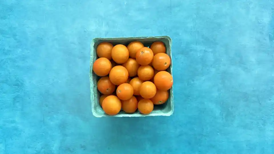 Tomatoes: Sungold