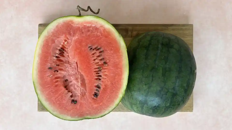 Melon: Natsu Cocoa Watermelon