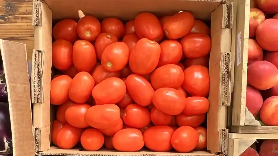Homemade Marinara Bundle