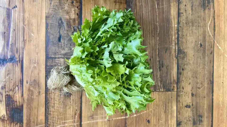 Lettuce: Sweet Crisp (hydro)