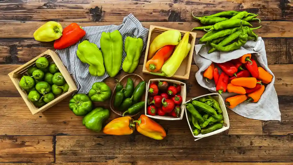 Hot Pepper Bundle