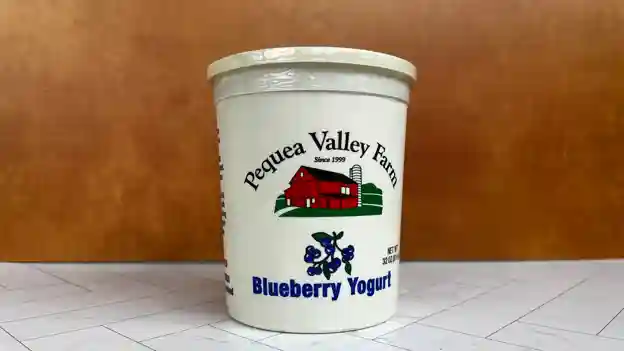 Blueberry Yogurt