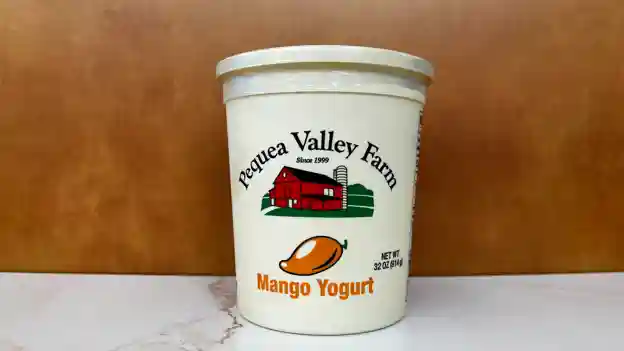 Mango Yogurt