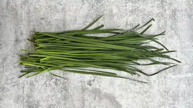 Herb: Garlic Chives