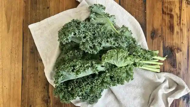 Kale: Curly Green