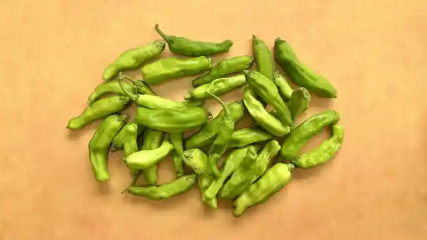 Peppers: Shishito