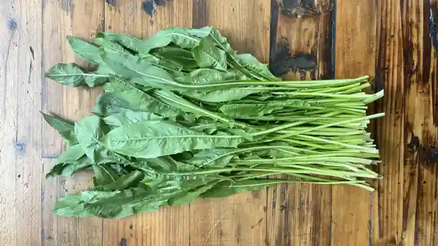 Dandelion Greens