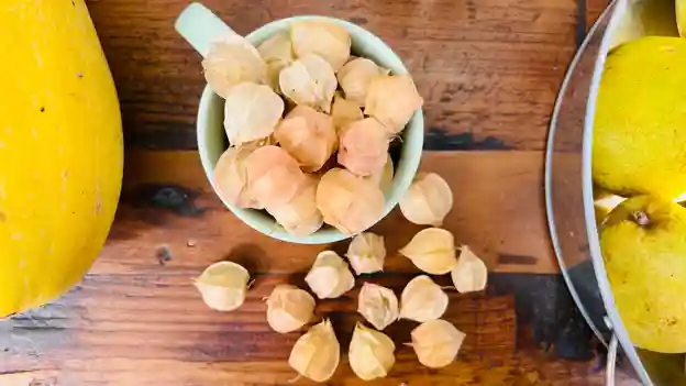 Ground Cherries