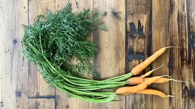 Carrots: Orange