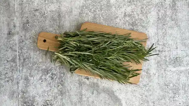 Herb: Rosemary
