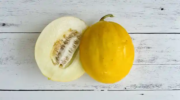 Melon: Canary