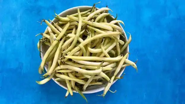 Beans: Yellow