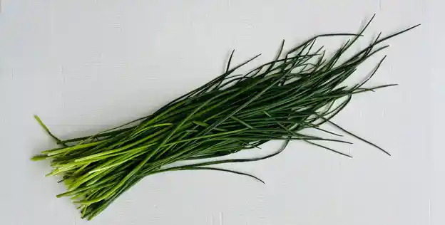 Herb: Chives