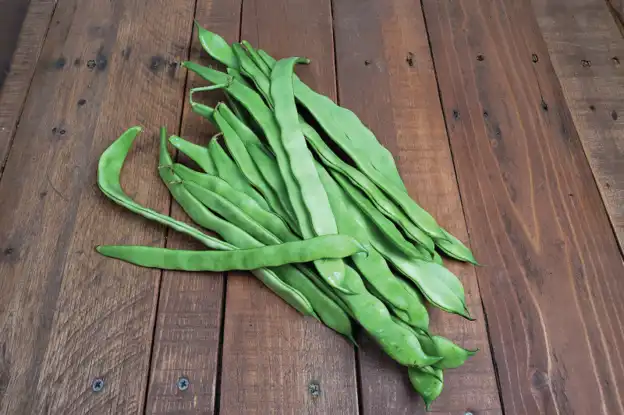 Beans: Roma