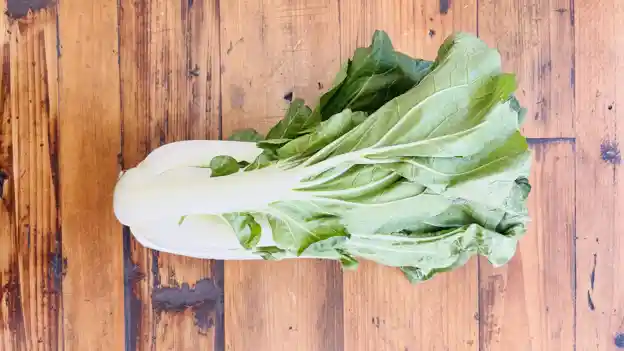Bok Choy (white stem)