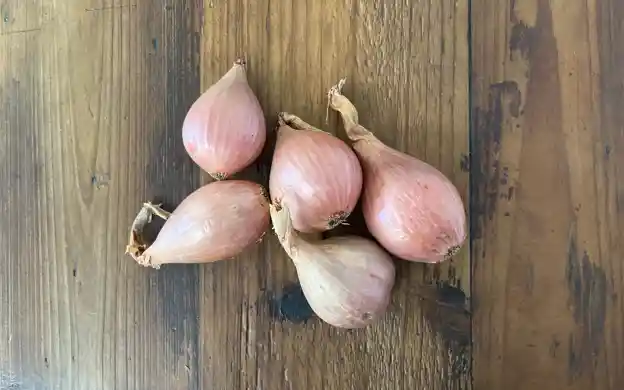 Shallots