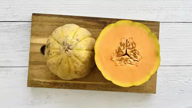 Melon: Tuscan Cantaloupe